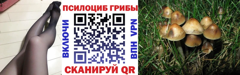Псилоцибиновые грибы ЛСД  Баксан 